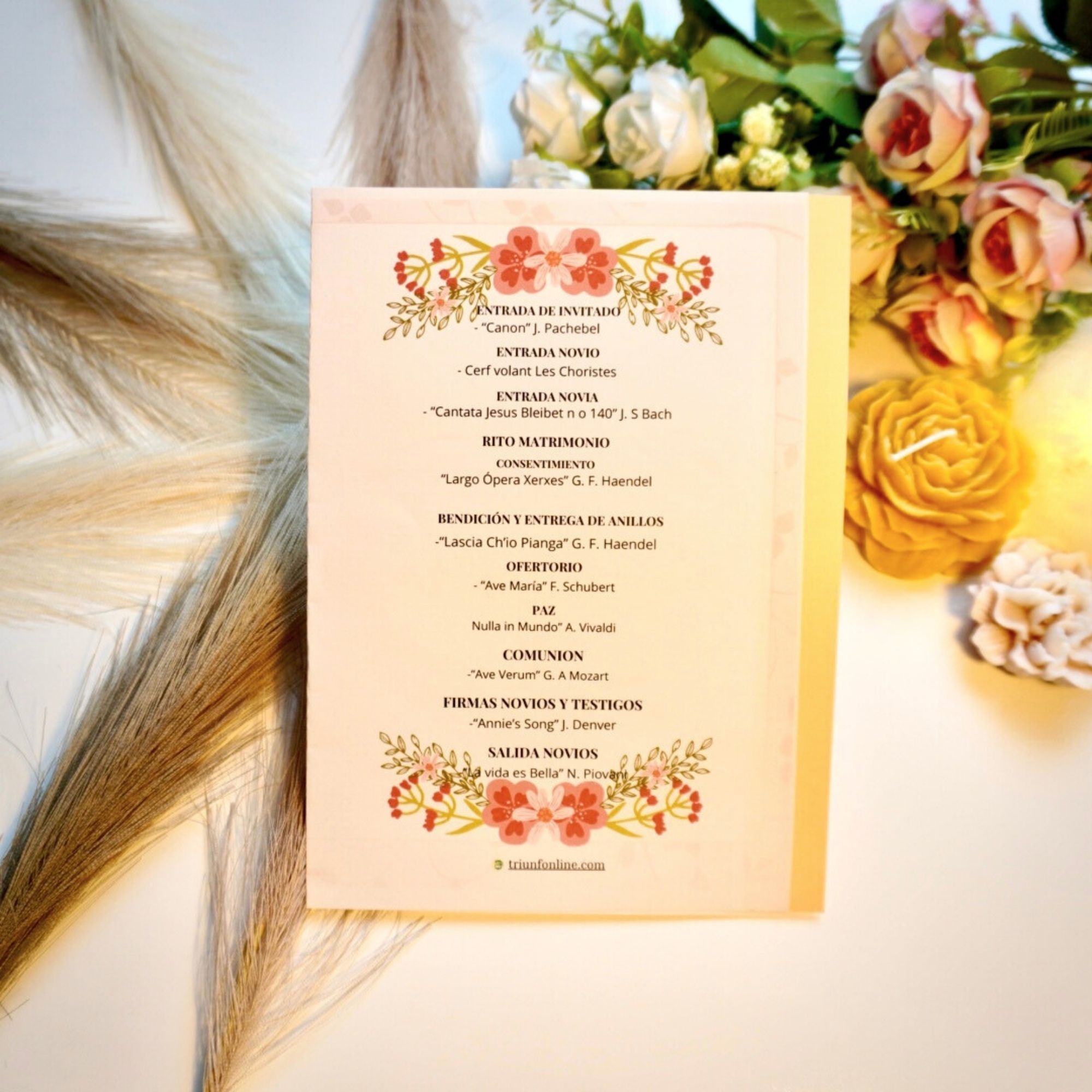 Reverso Programa Musical Clásico Opción 7 - Triunfonline