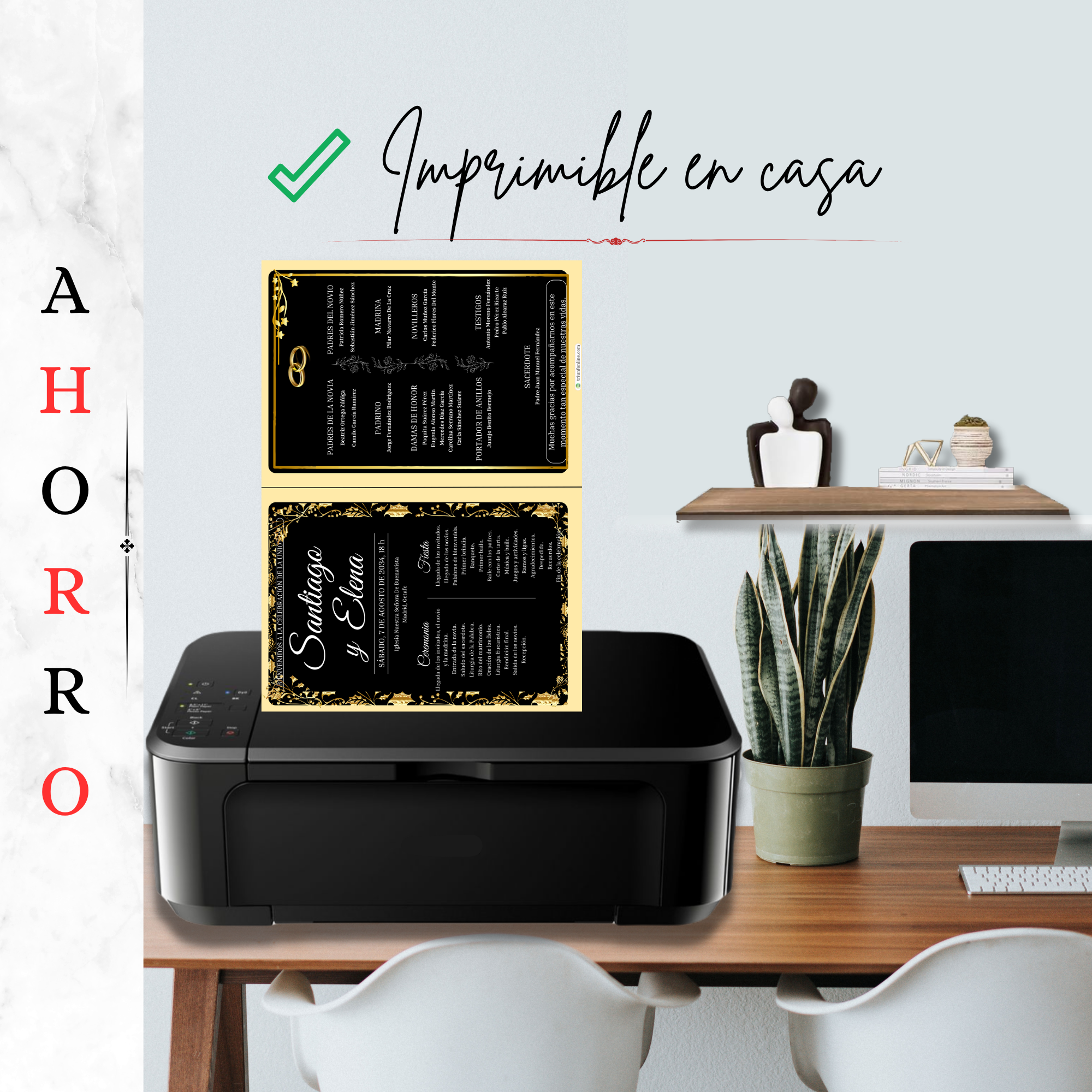 Opción 2: Programa Completo Vintage - Imagen 9