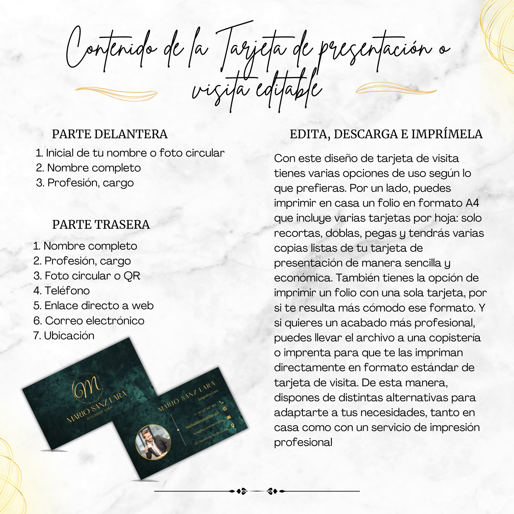 Vista del contenido editable de la tarjeta de visita profesional.