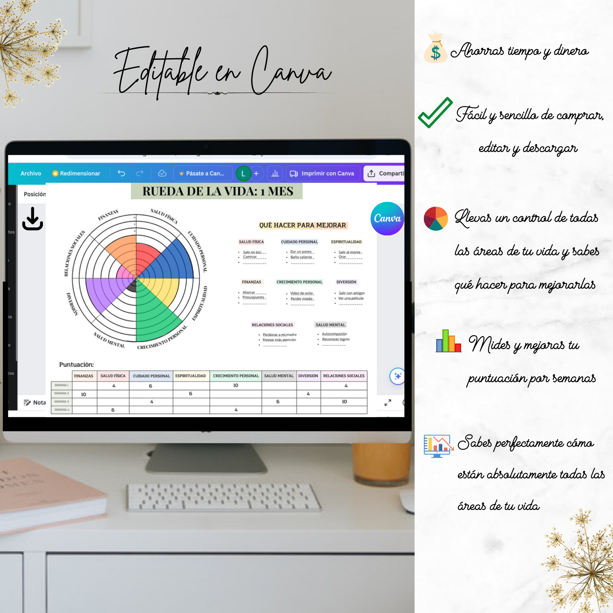 Rueda de la Vida editable en Canva