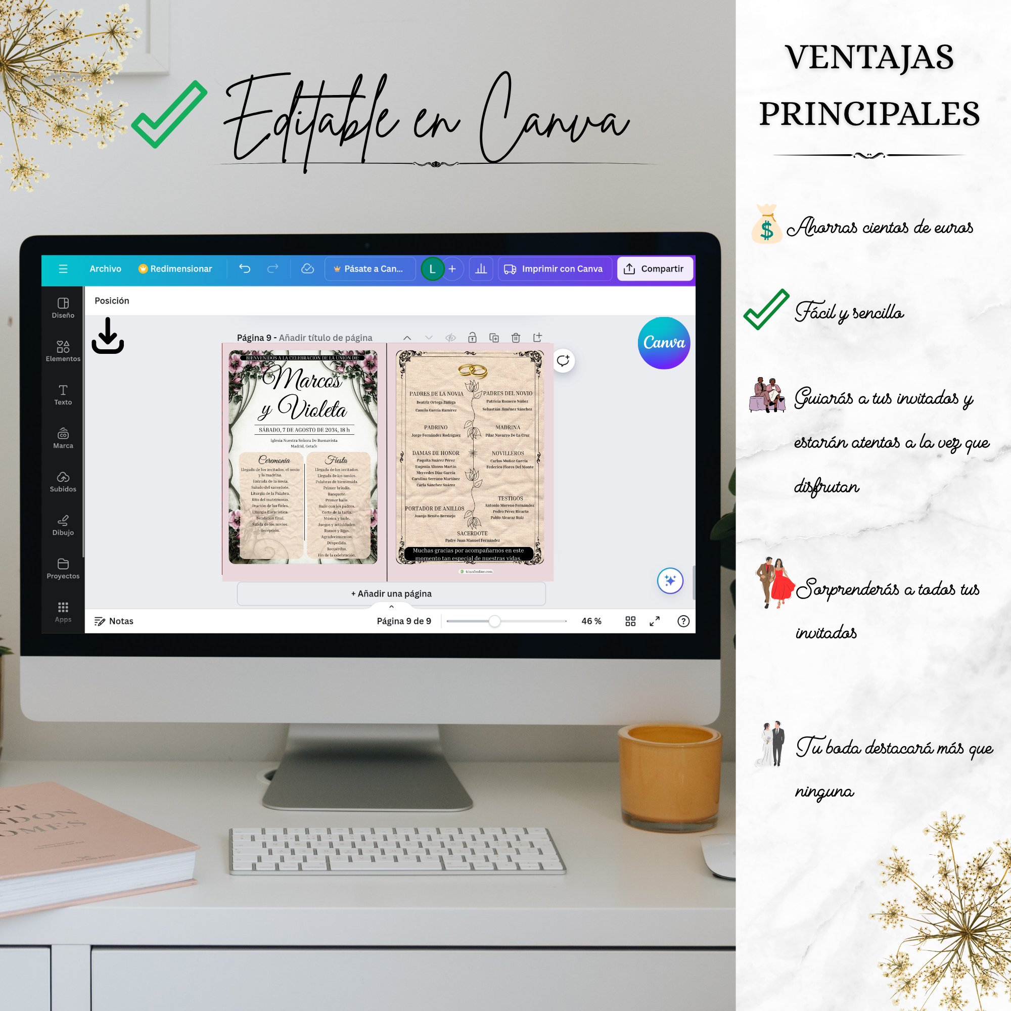 Opción 7: Programa Completo Vintage - Imagen 5