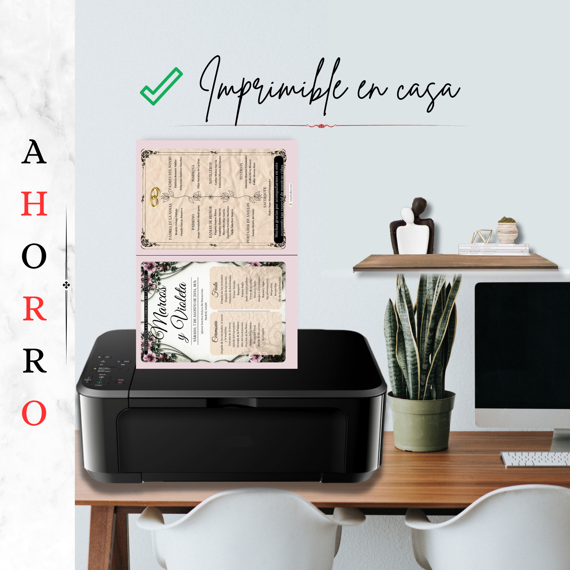 Opción 7: Programa Completo Vintage - Imagen 9