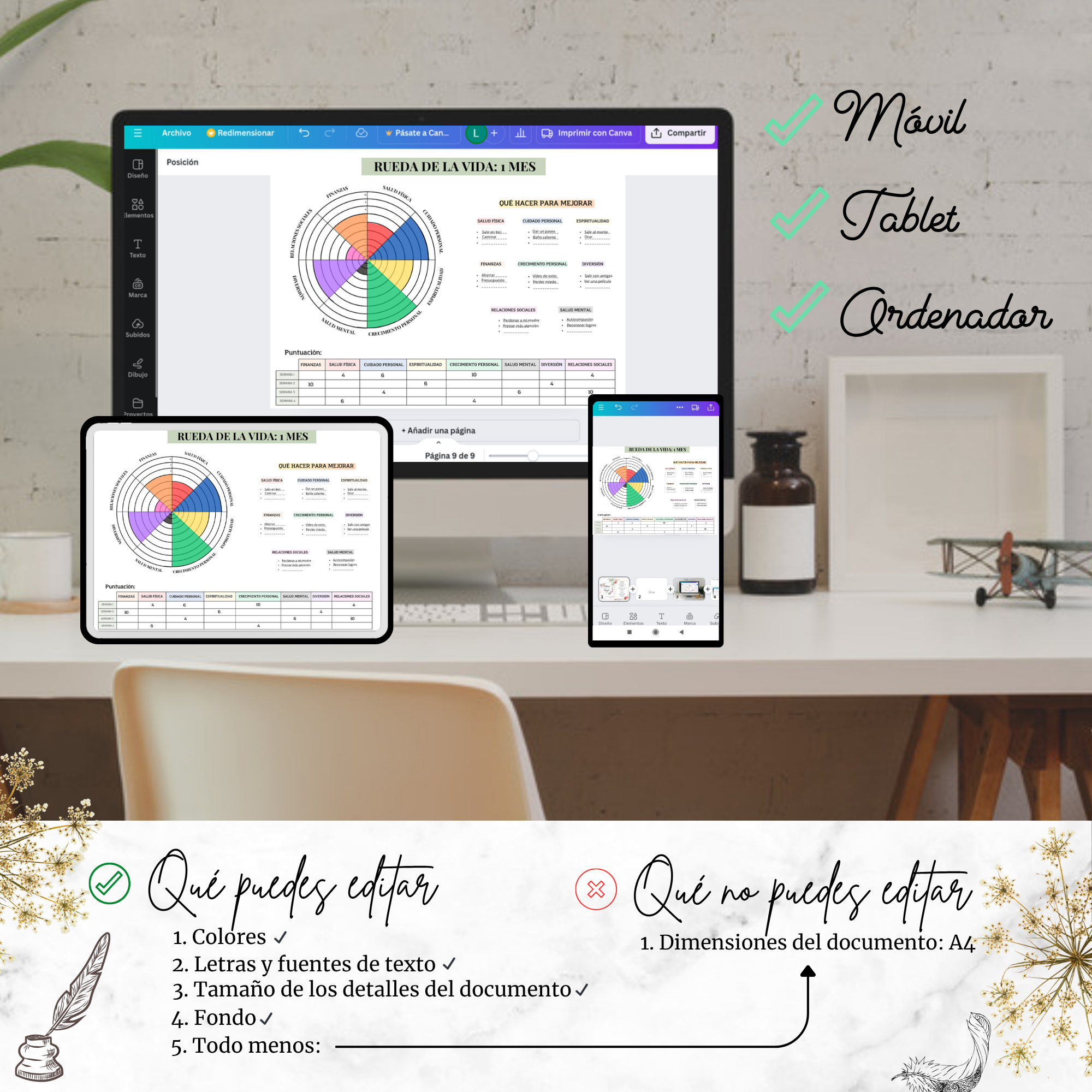 Rueda de la Vida editable en móvil, tablet y ordenador