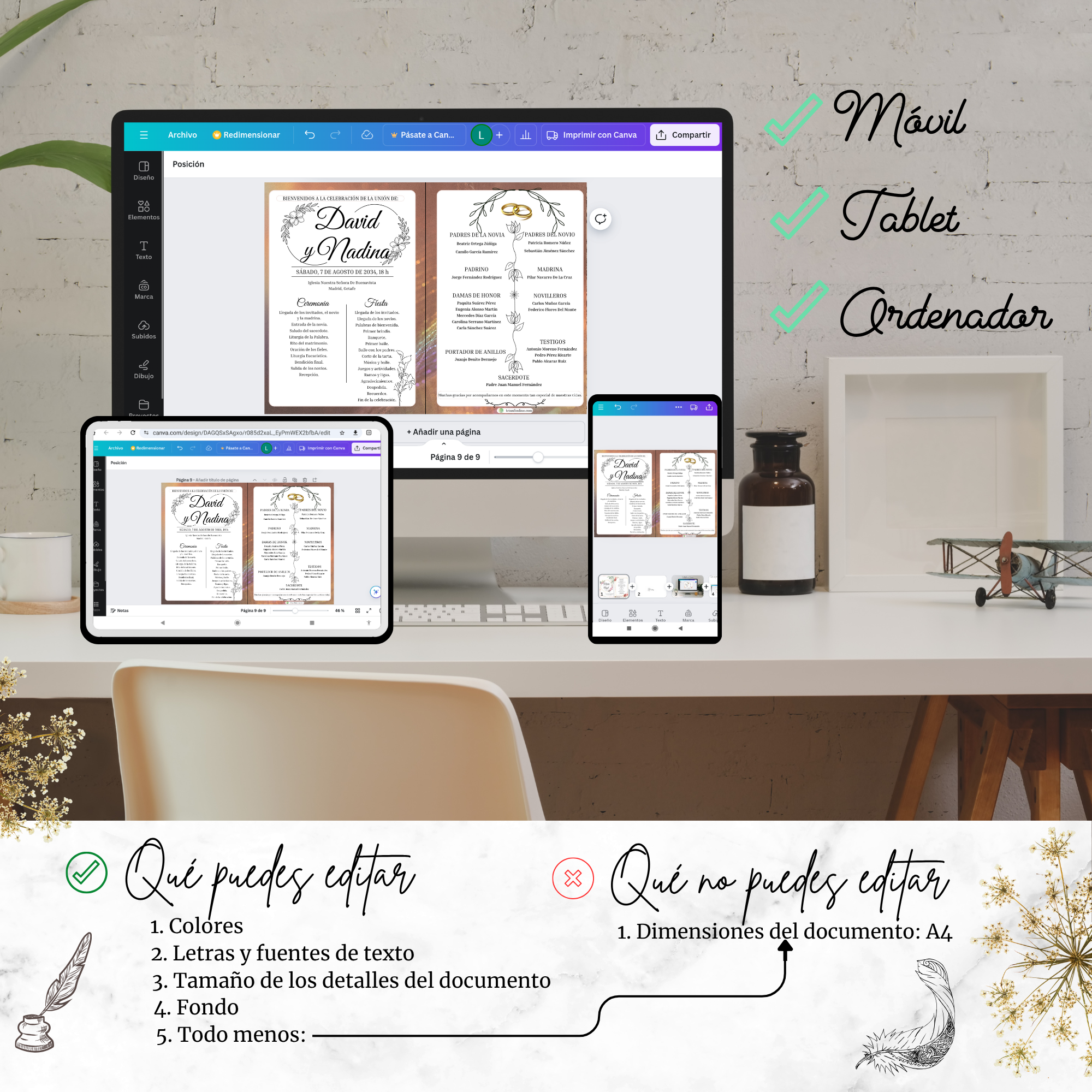 Programa completo opción 6 Asthetic, diseño claro y equilibrado.