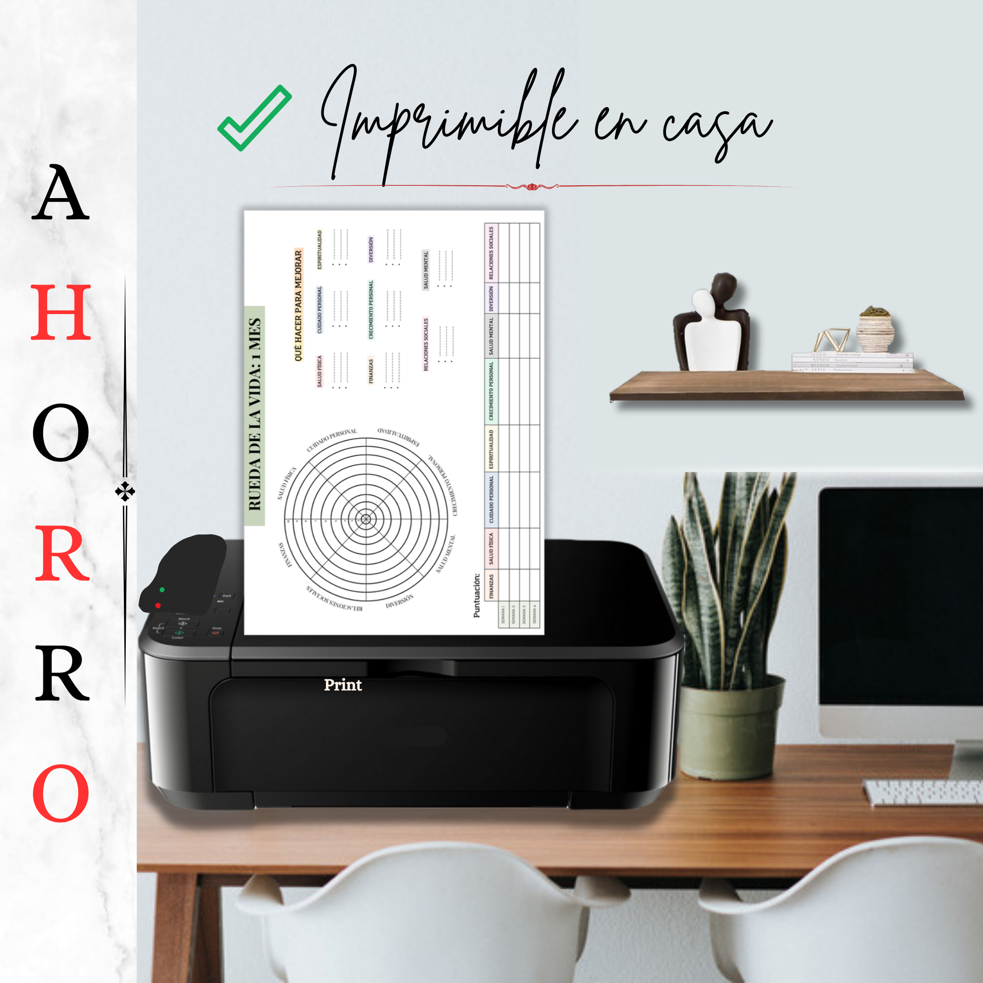 Rueda de la Vida lista para imprimir en casa