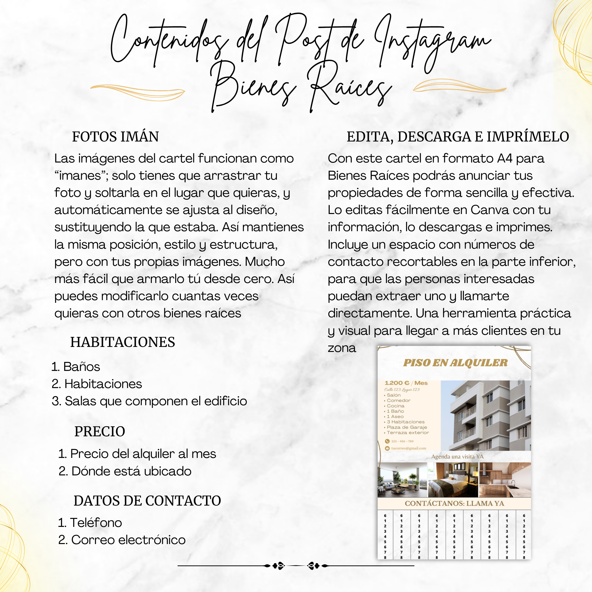 Cartel A4 editable en Canva mostrando diseño completo y versátil.