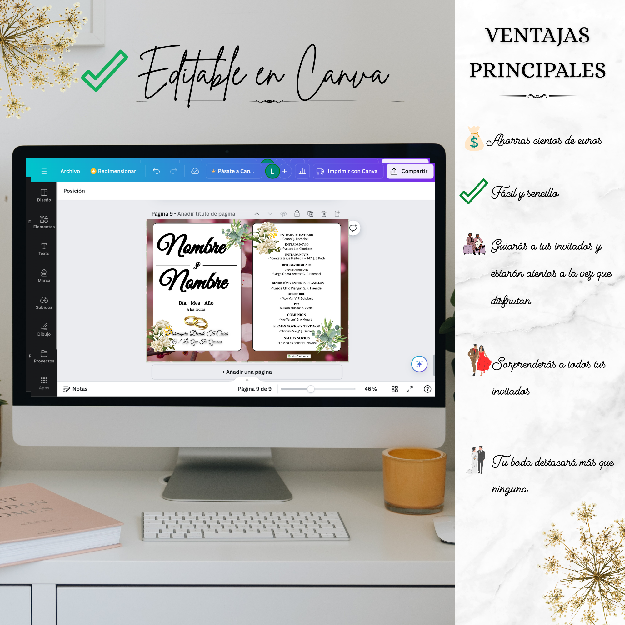 Programa estacional musical opción 4