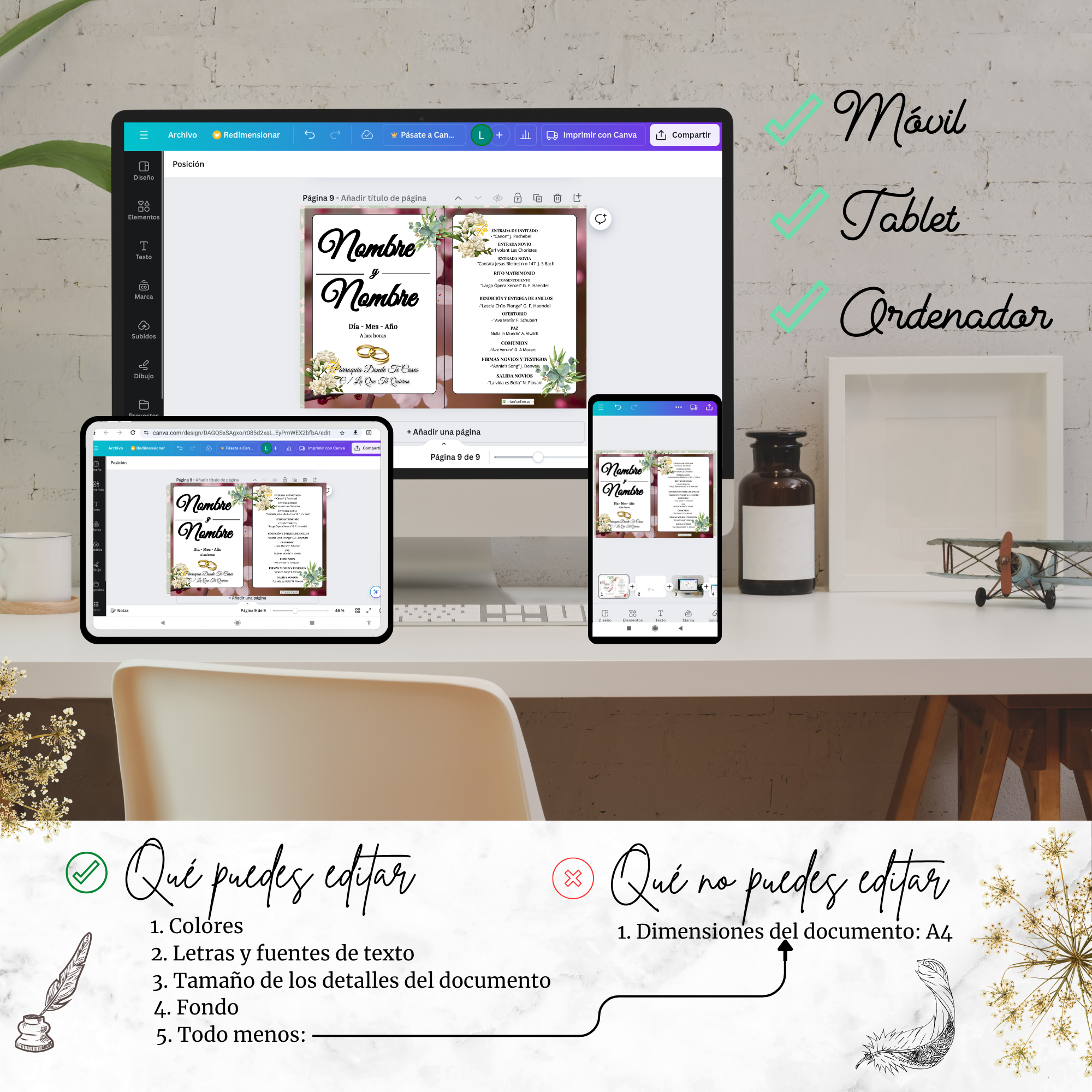 Programa estacional musical opción 4