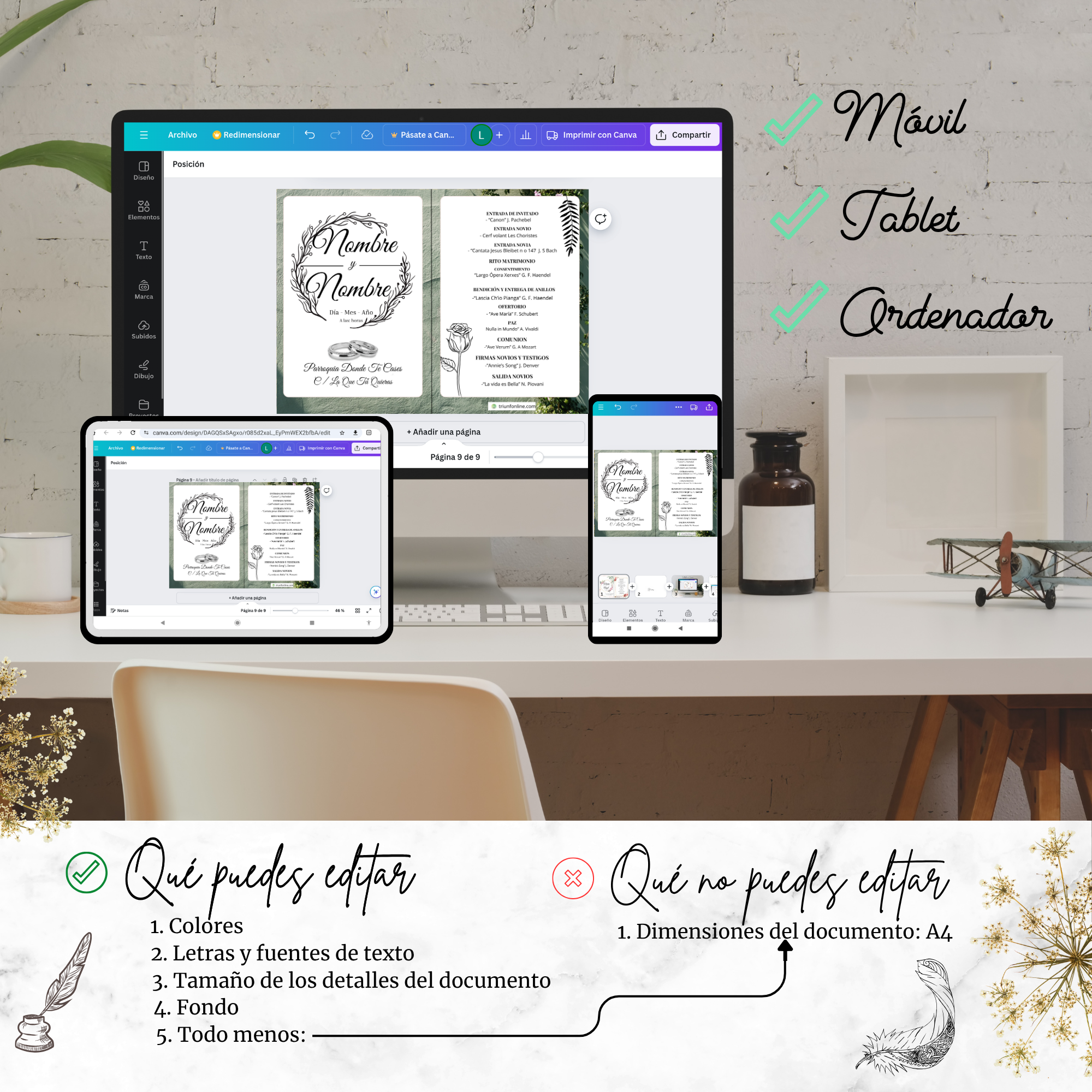 Editable en Canva del programa