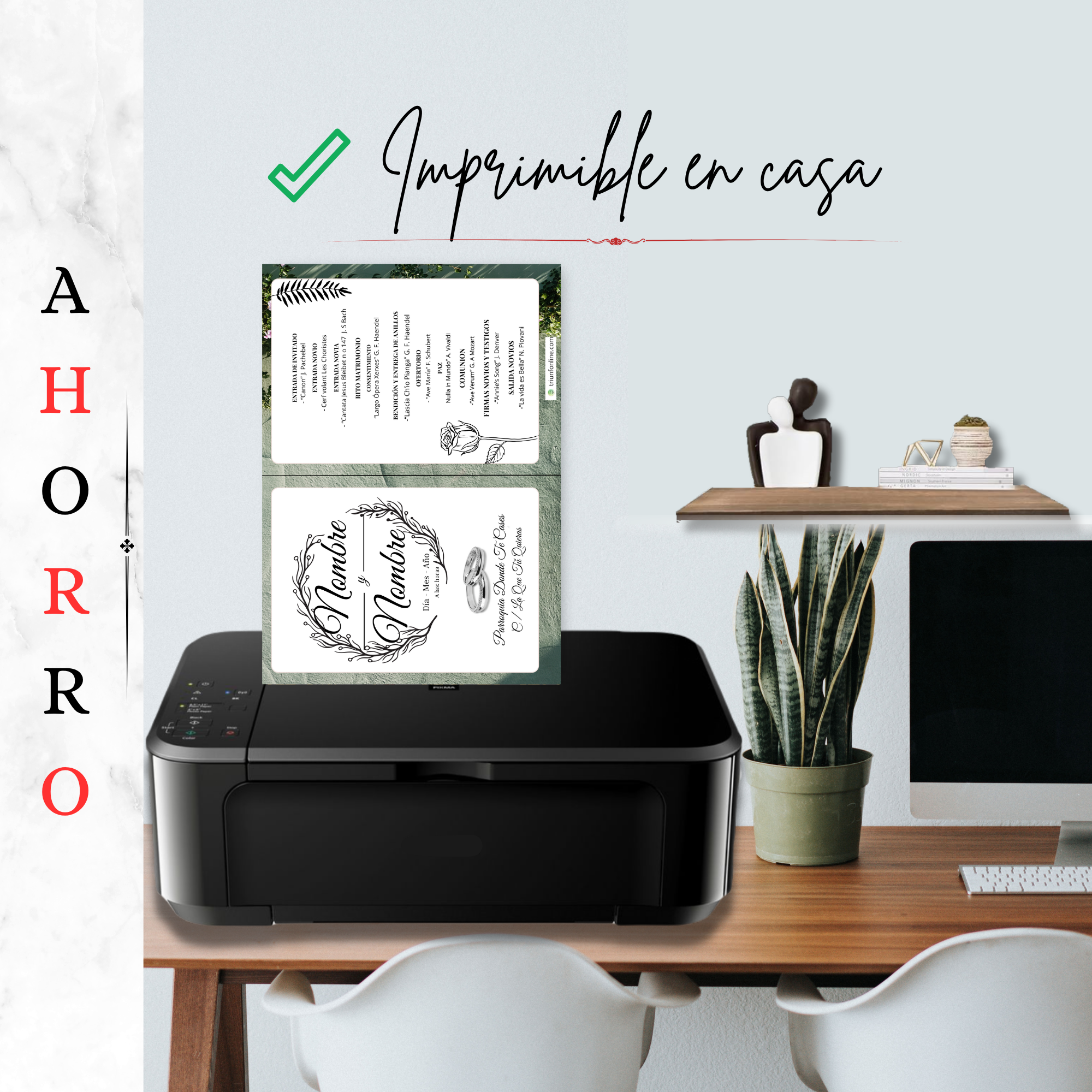 Editable en Canva del programa