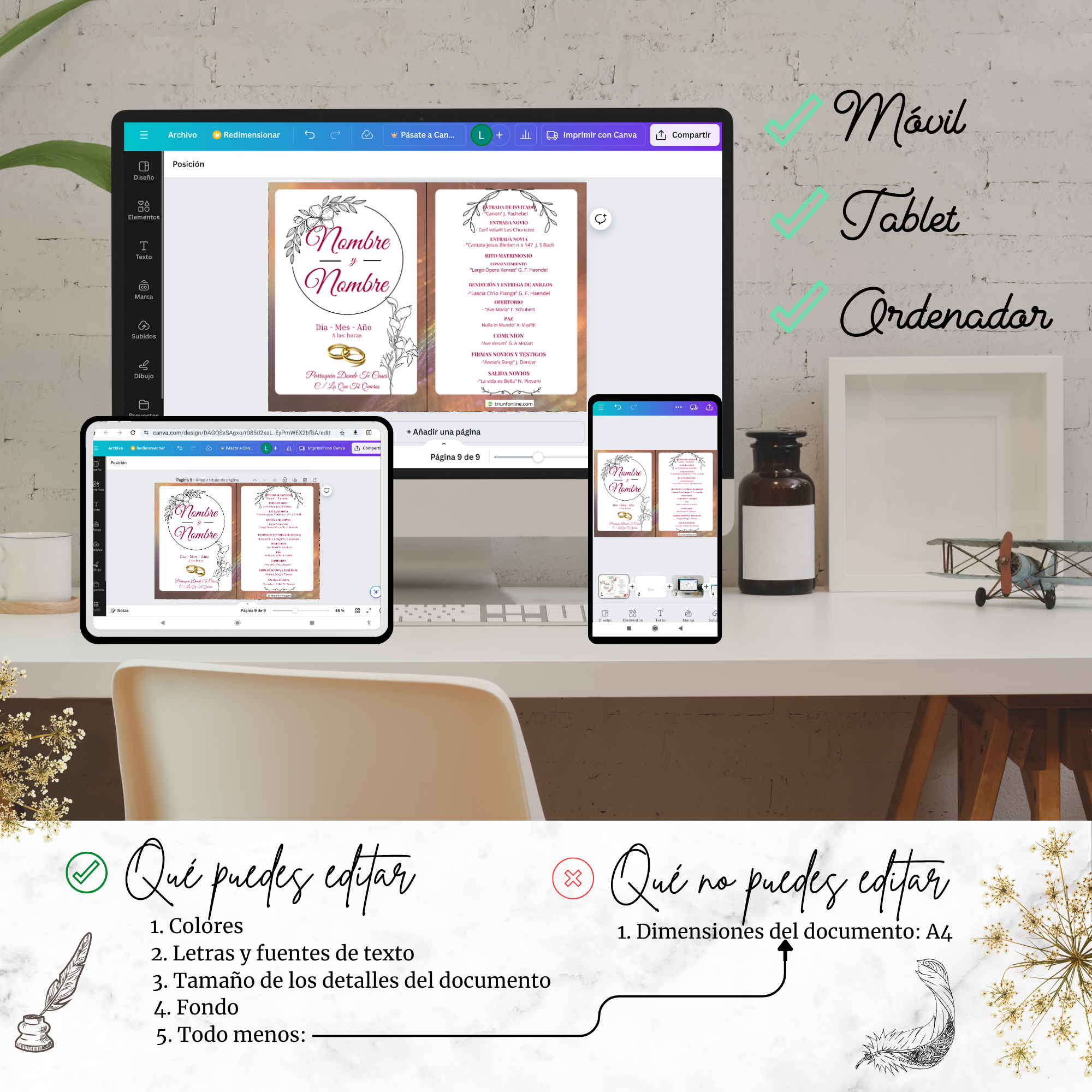 Visualización en múltiples dispositivos del programa