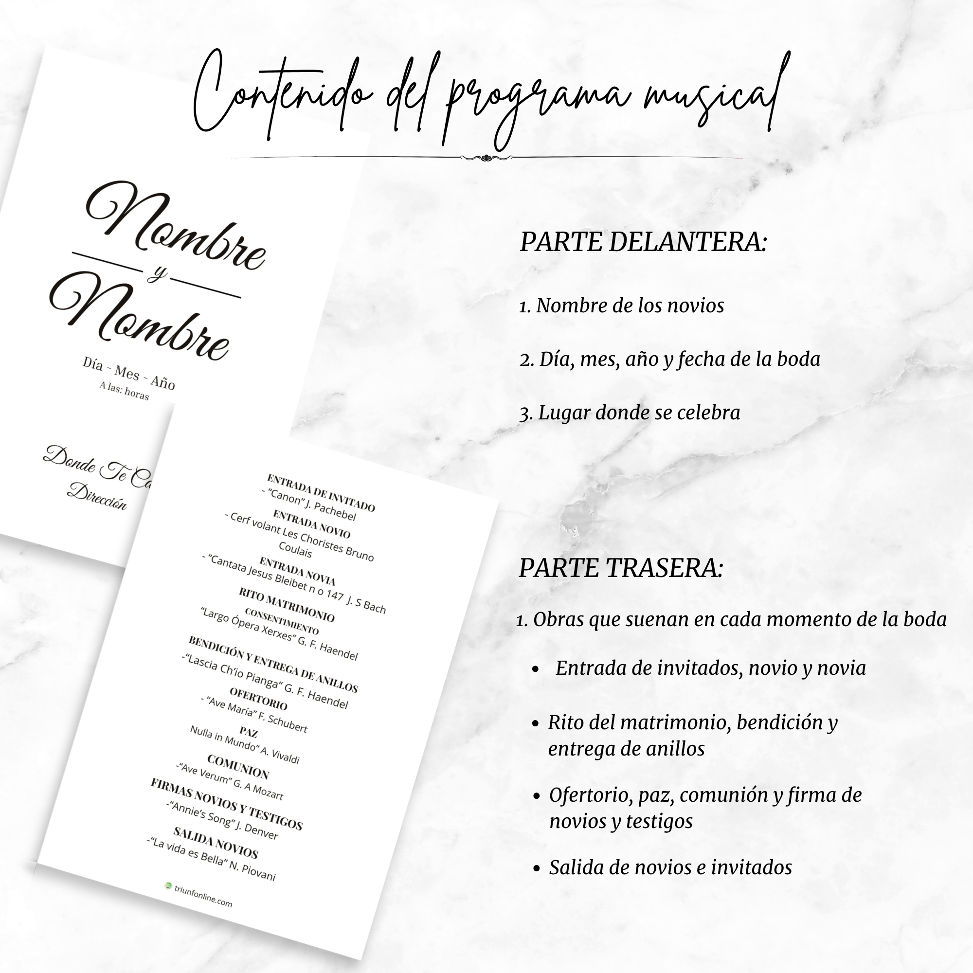 Contenidos del programa musical