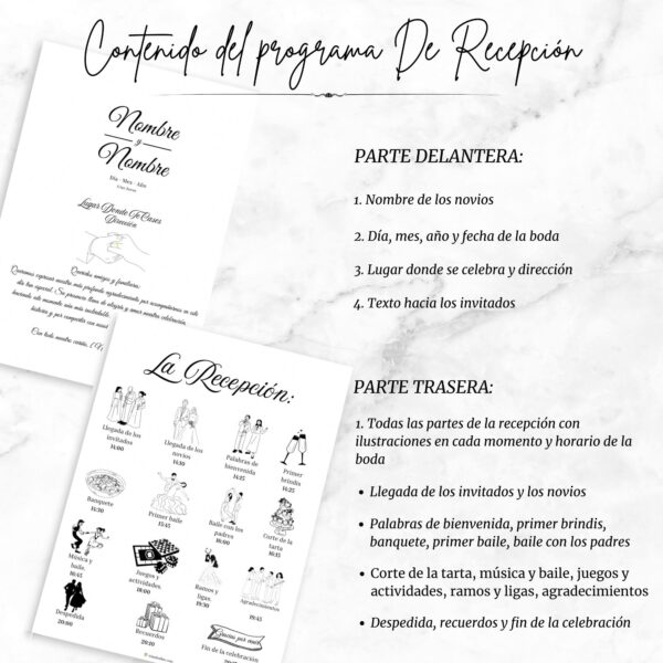 contenido del programa de recepcion