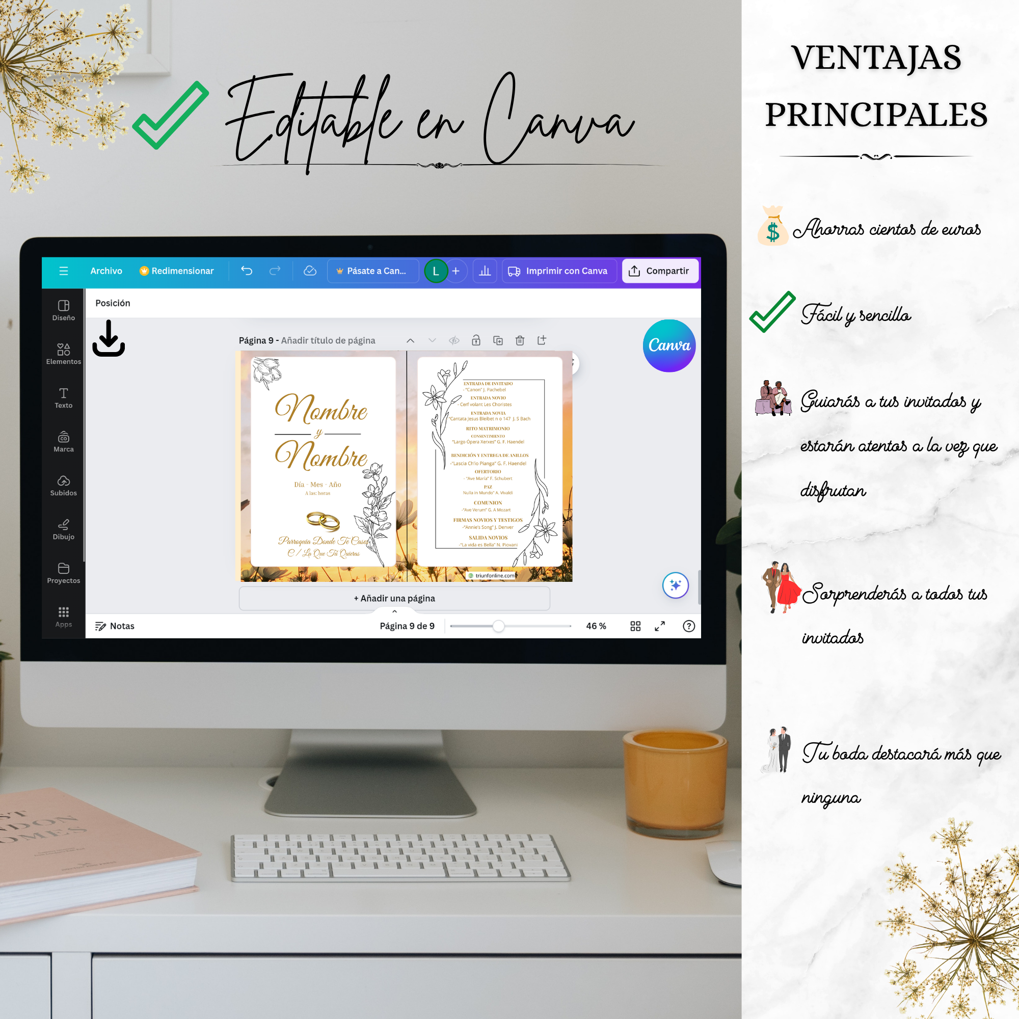 Editable en Canva del programa musical