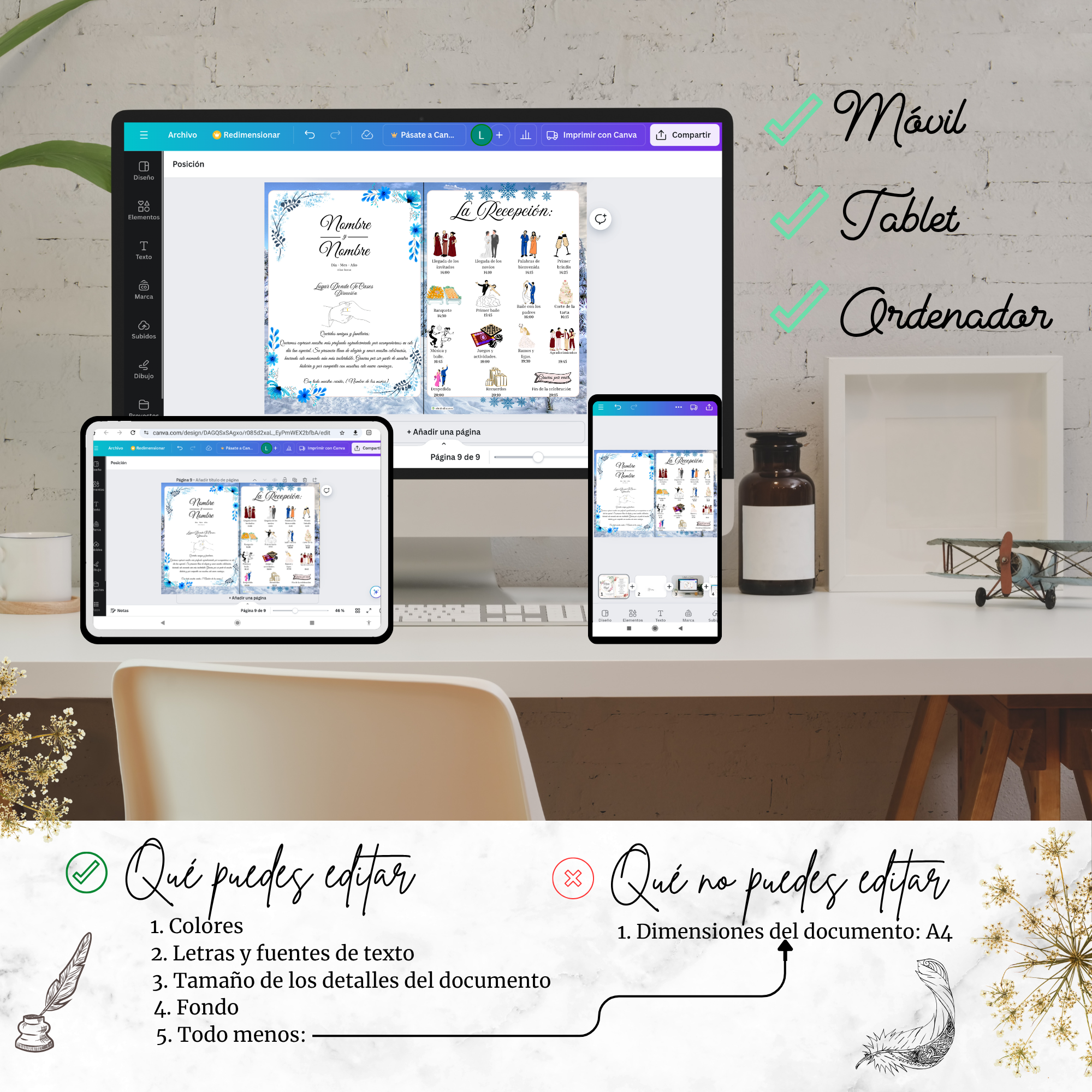 Múltiples dispositivos — programa de recepción