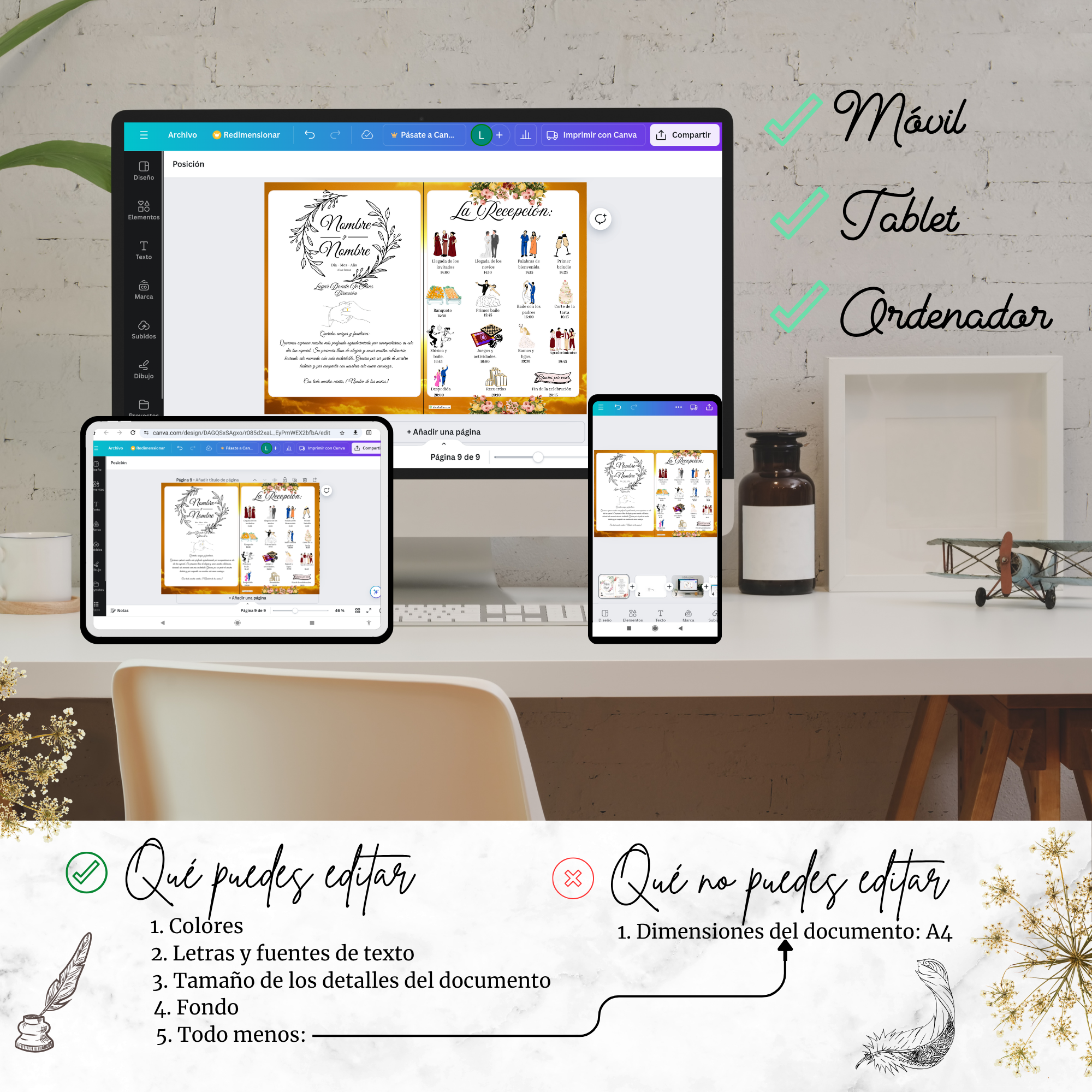 Múltiples dispositivos — programa estacional