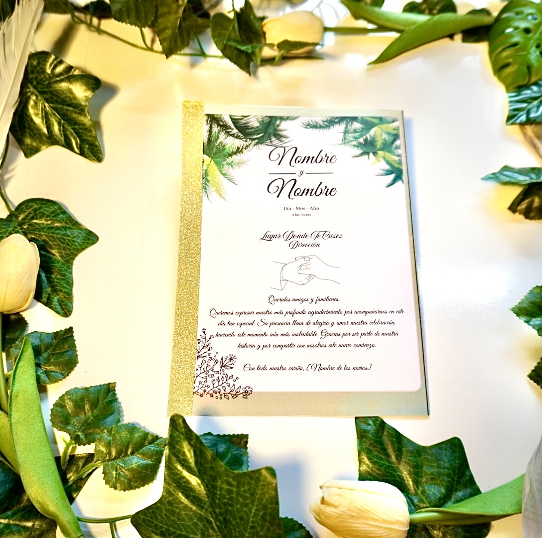 Vista de la parte trasera del programa mostrando detalles y equilibrio visual.