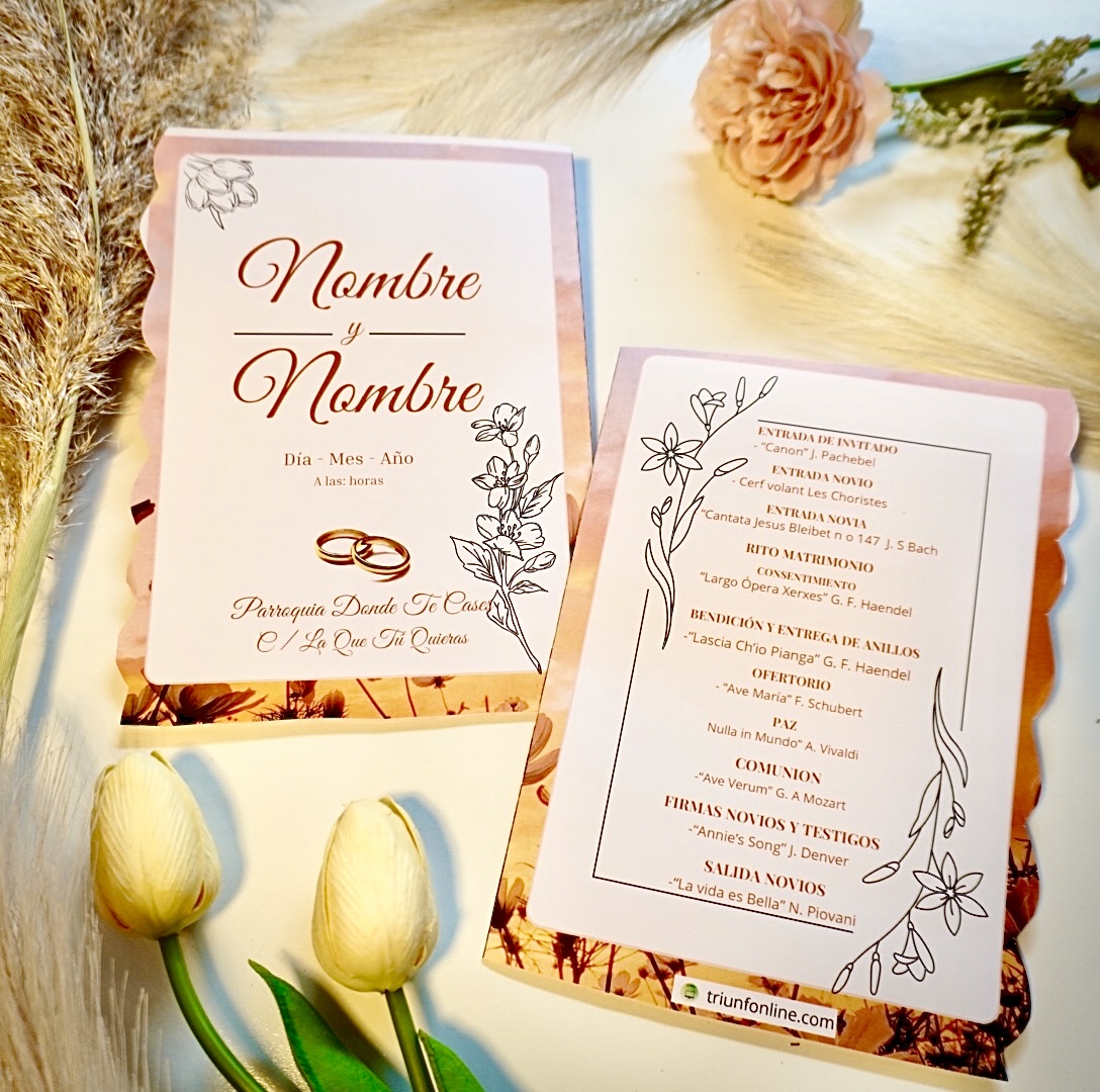 Permite ver y personalizar simultáneamente la portada y contraportada.