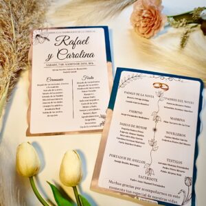 Programa completo opción 3 Asthetic, estructura visual sobria y moderna.