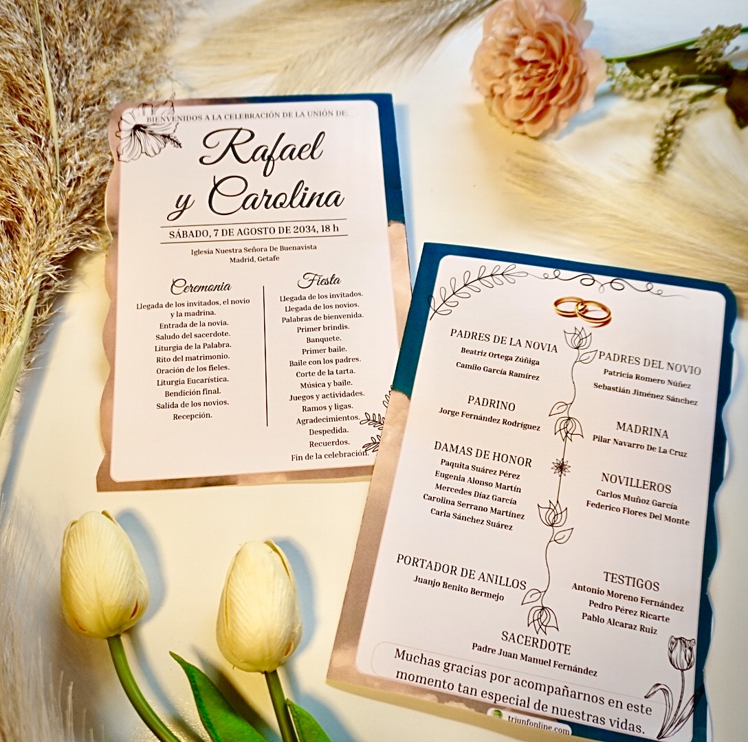 Programa completo opción 3 Asthetic, estructura visual sobria y moderna.