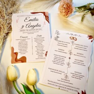 Opción 1: Programa Completo Aesthetic