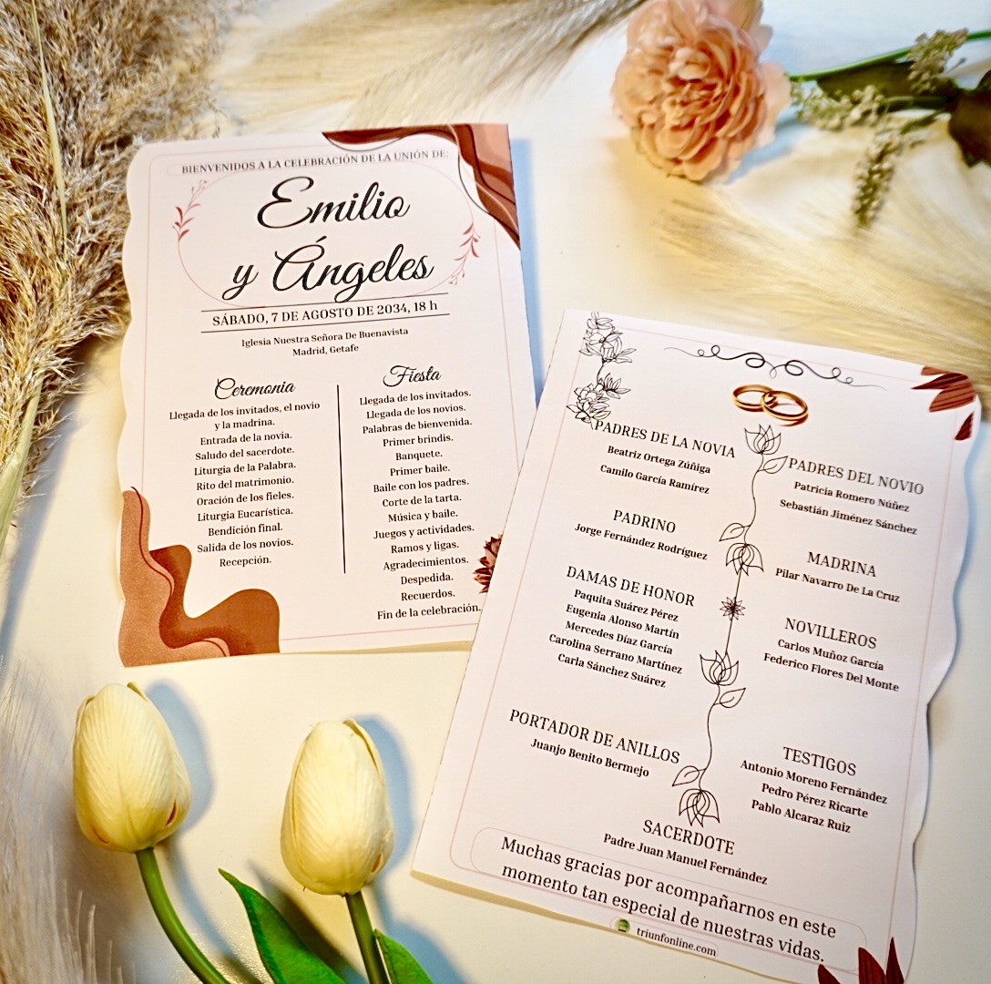 Opción 1: Programa Completo Aesthetic