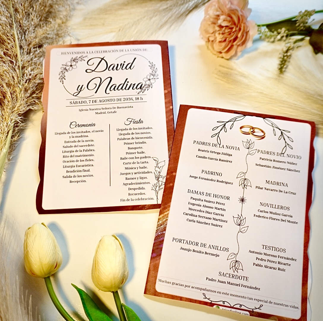 Opción 6: Programa Completo Aesthetic