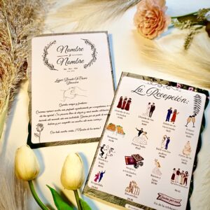 Opción 5: Programa De Recepción Aesthetic