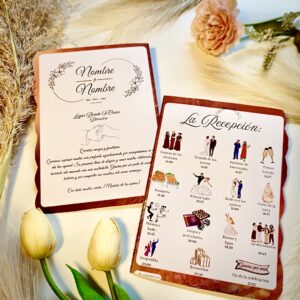 Opción 6: Programa De Recepción Aesthetic