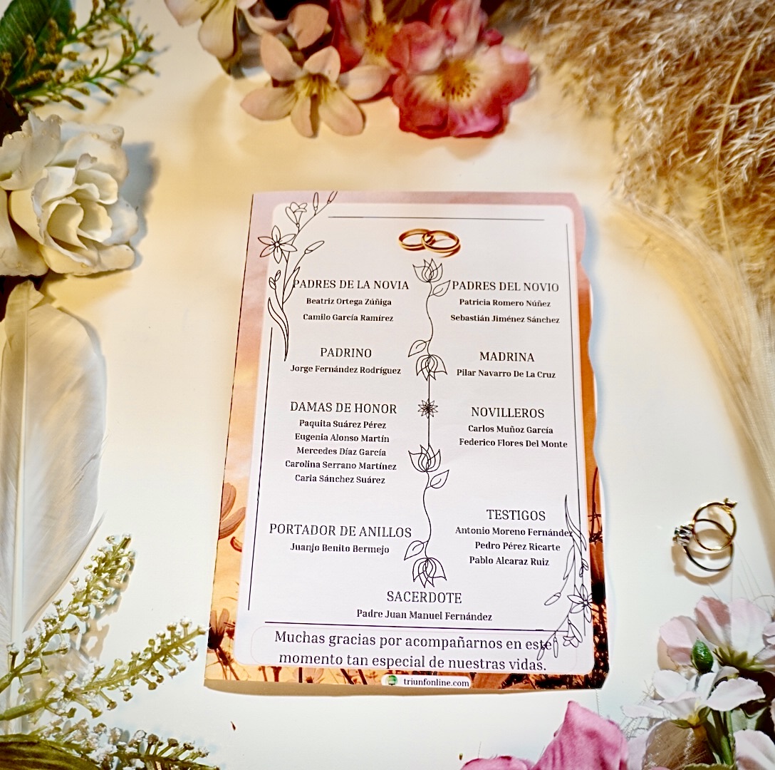 Programa completo opción 2 Asthetic, diseño limpio y moderno.