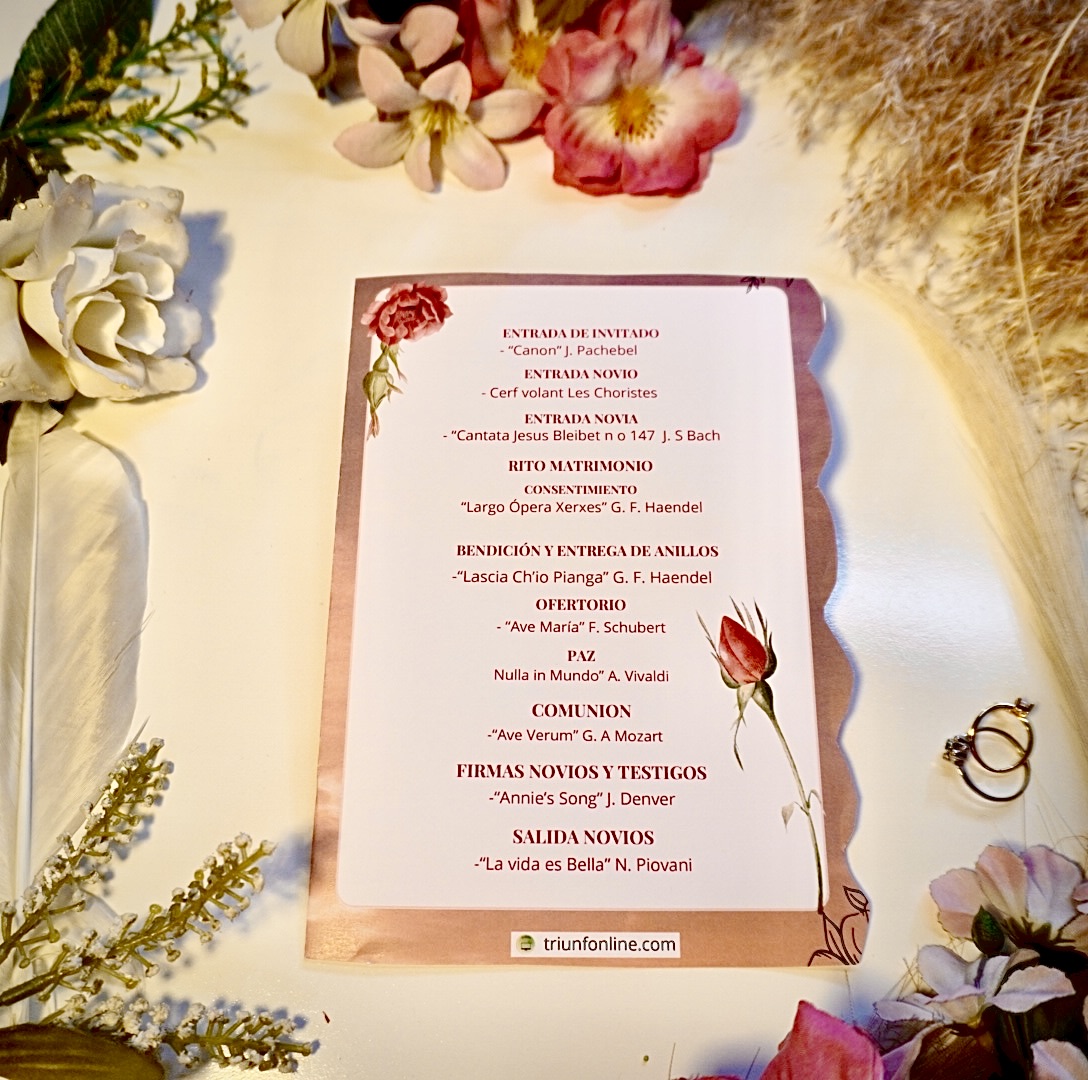 Parte de atrás del programa musical.