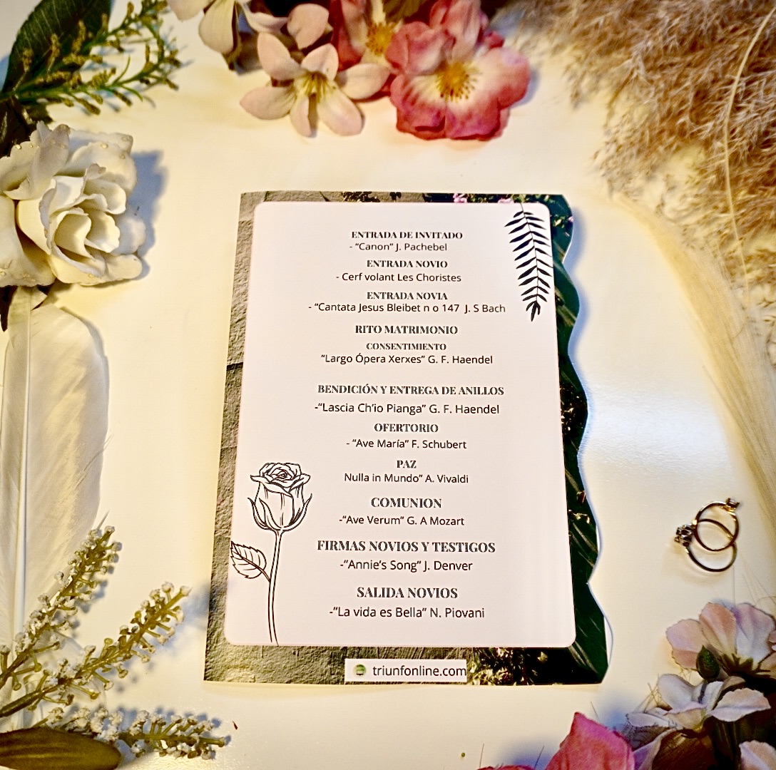 Parte de atrás del programa