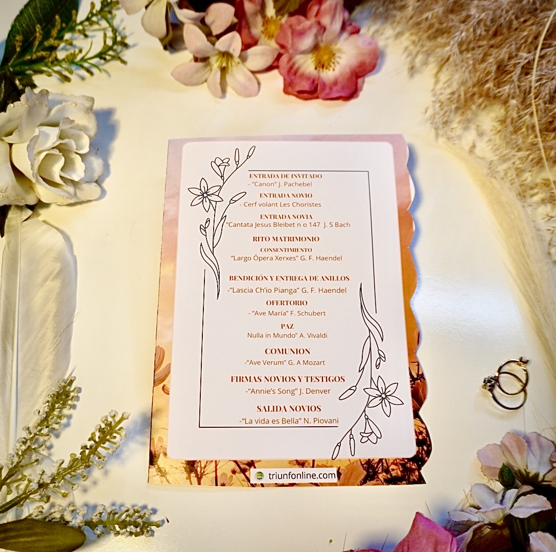 Parte de atrás del programa musical