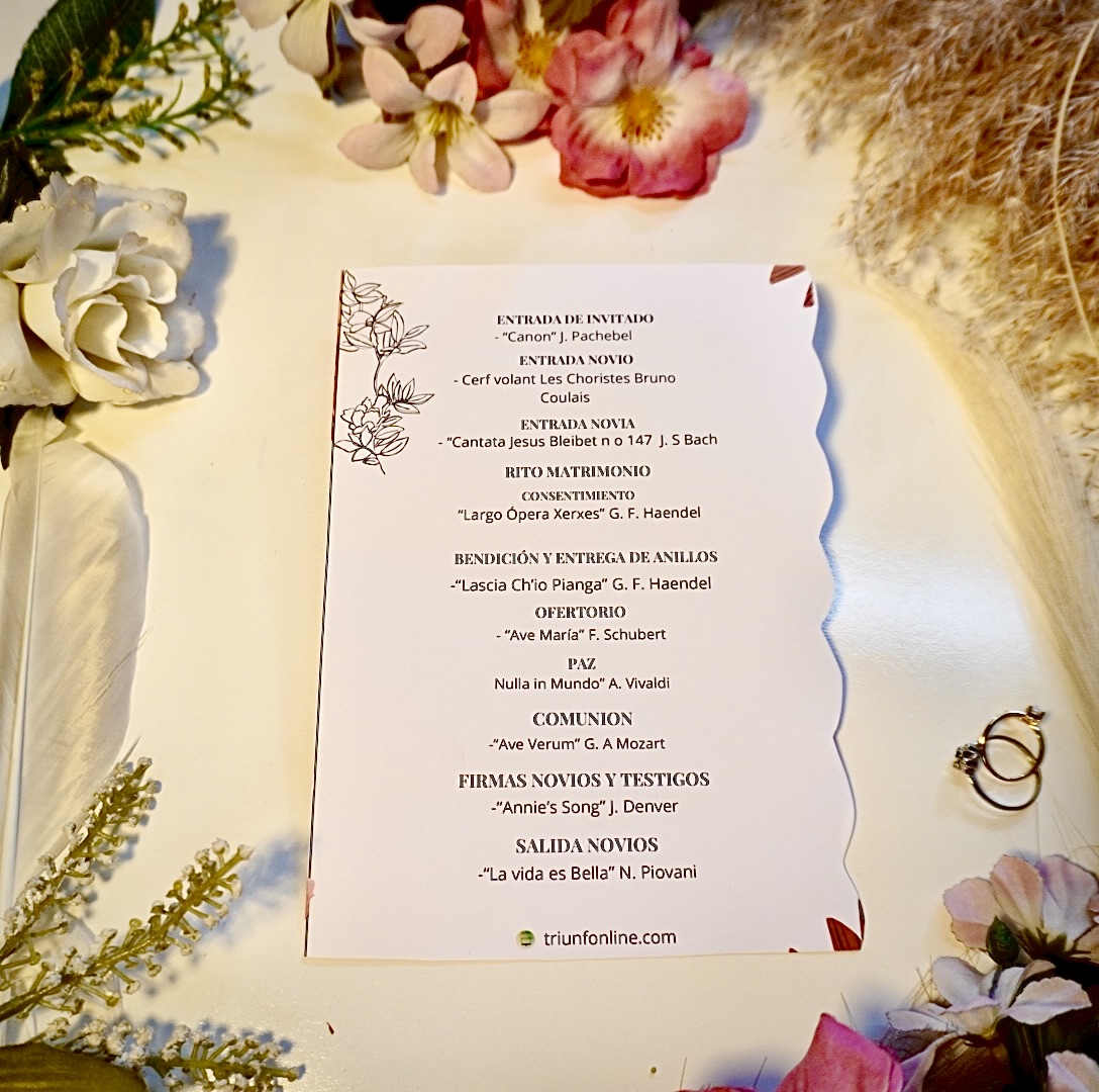 Programa musical personalizable — ajuste completo