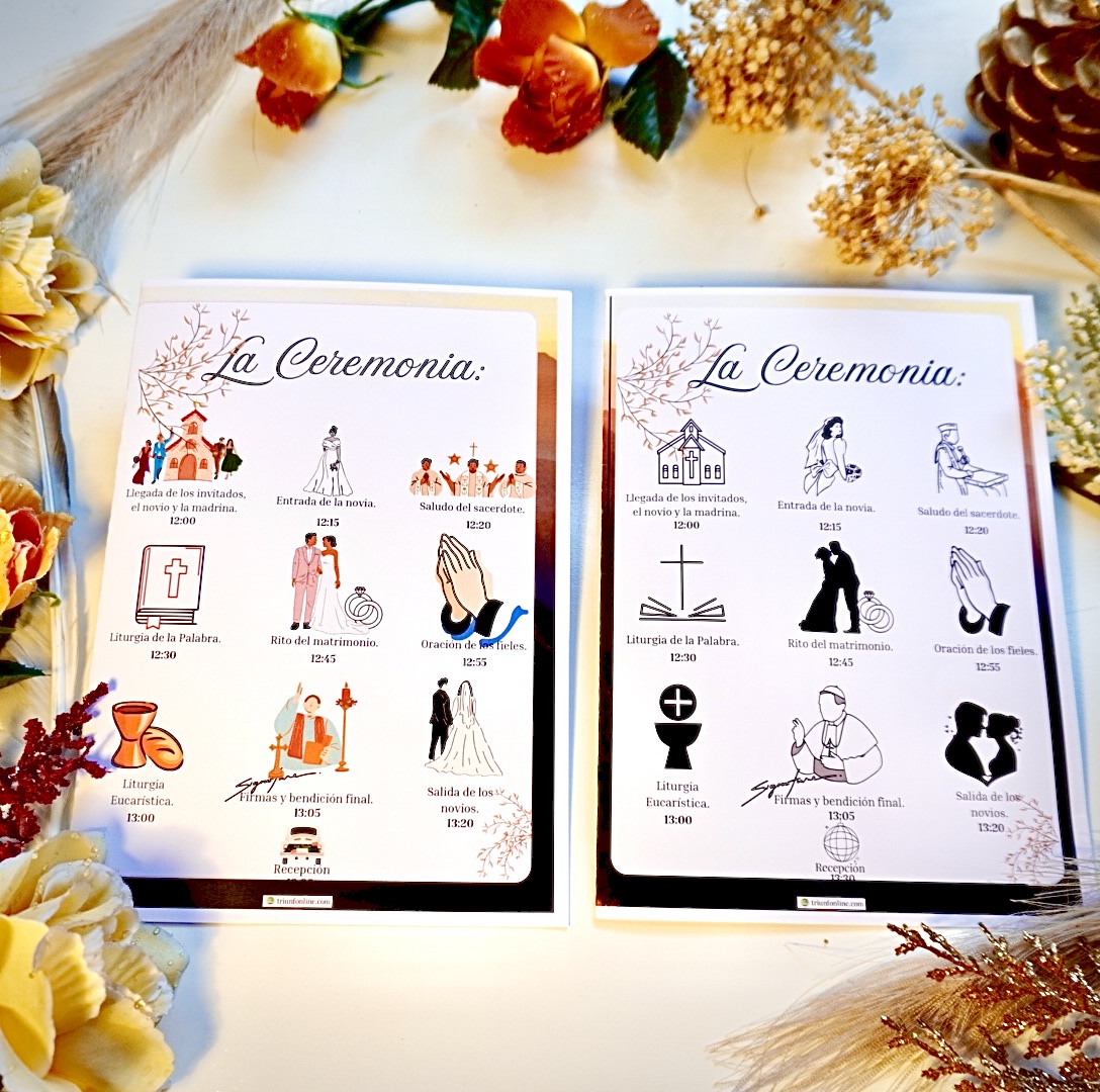 Parte trasera del programa