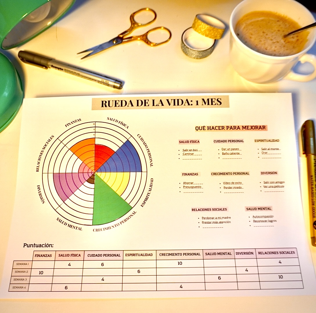 Rueda de la Vida a color con secciones diferenciadas
