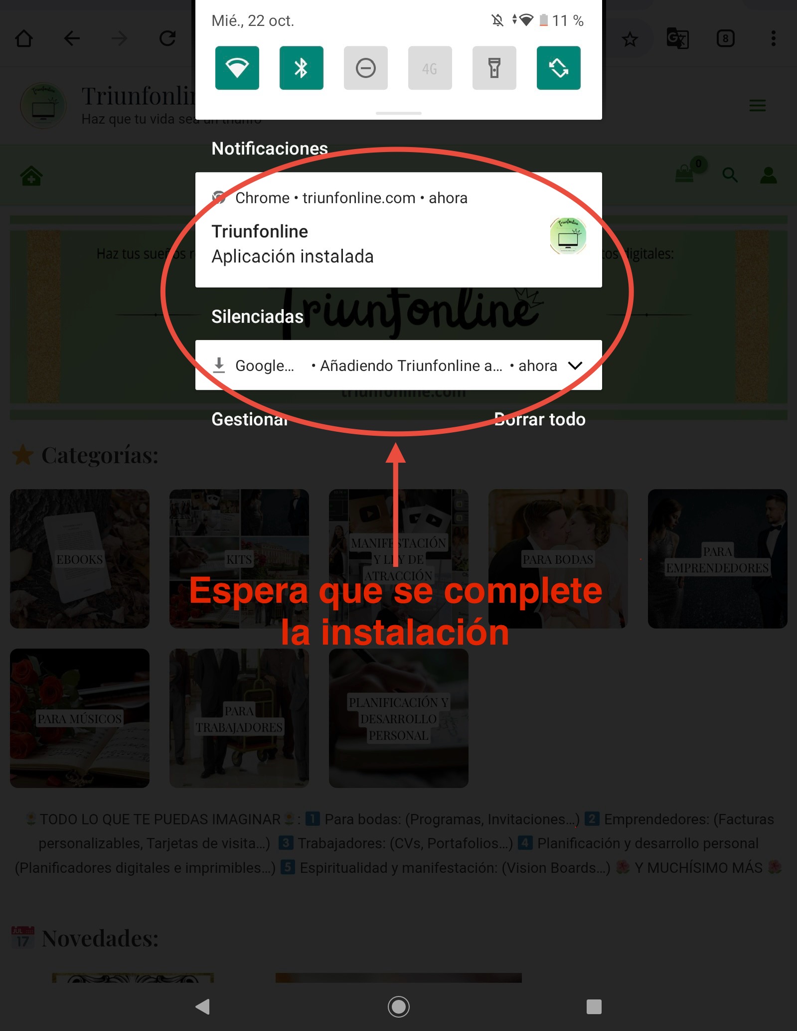 paso 4 instrucciones app triunfonline aplicacion